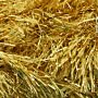409603 - 208 Gold
