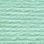 418607 - 819 Pepperminty