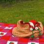 Strawberry Summer Knitted Blanket & Picnic Bag Kit by Nicola Valiji in WoolBox Imagine Classic DK