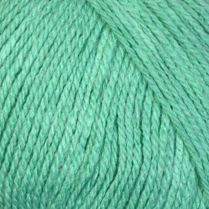 Scheepjes Scrumptious DK Yarn Mint Whoopie Pie 340 100g main product photo