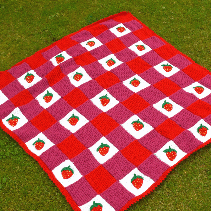Strawberry Summer Knitted Blanket & Picnic Bag Kit by Nicola Valiji in WoolBox Imagine Classic DK