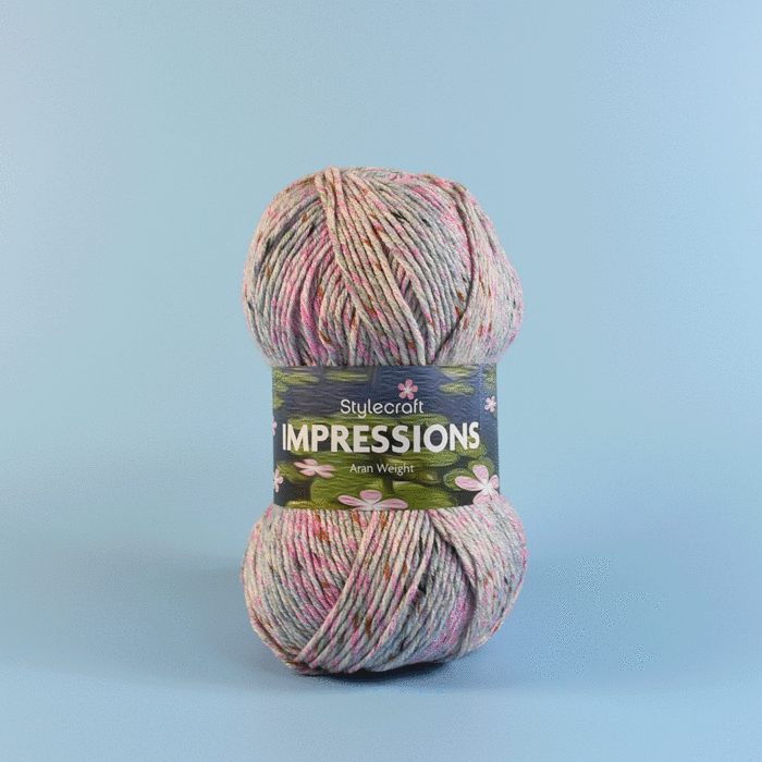 Stylecraft Impressions Aran Yarn - 100 grm ball