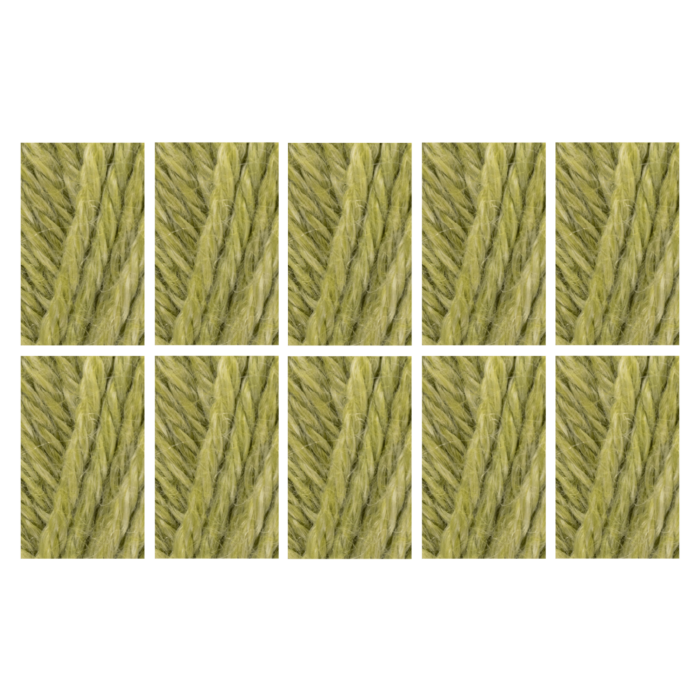 West Yorkshire Spinners Elements DK Yarn Value Pack 10x50g Palm Leaf 1104 500g main product photo