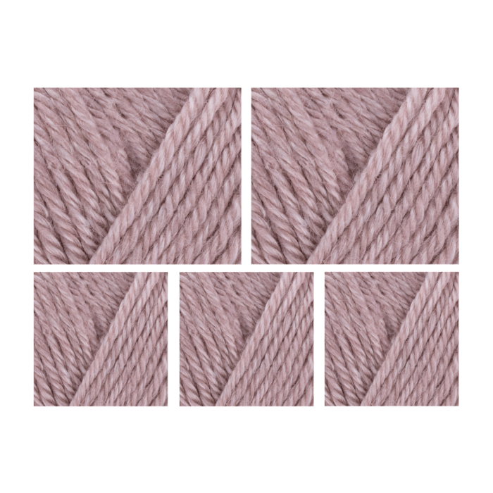 West Yorkshire Spinners Elements DK Yarn Value Pack 5x50g Seashell 1100 250g main product photo