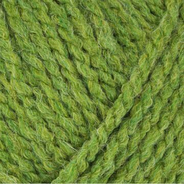Stylecraft Softie Chunky Yarn Fern 2418 100g