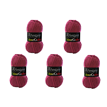 Scheepjes Colour Crafter DK Yarn Value Pack - 5 x 100g Balls 1828 Zutphen 