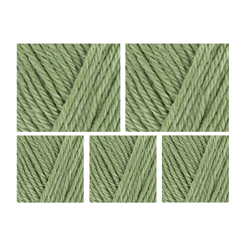 West Yorkshire Spinners Elements DK Yarn Value Pack 5x50g Cool Aloe 1102 250g