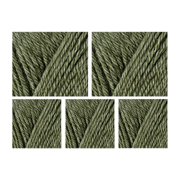West Yorkshire Spinners Elements DK Yarn Value Pack 5x50g Olive Grove 1142 250g