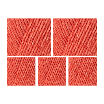 West Yorkshire Spinners Elements DK Yarn Value Pack 5x50g Watermelon 1145 500g